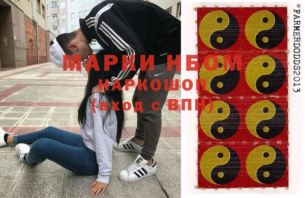 ГАЛЛЮЦИНОГЕННЫЕ ГРИБЫ Аркадак