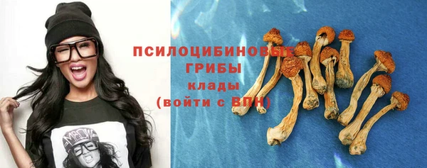 ПСИЛОЦИБИНОВЫЕ ГРИБЫ Алексеевка