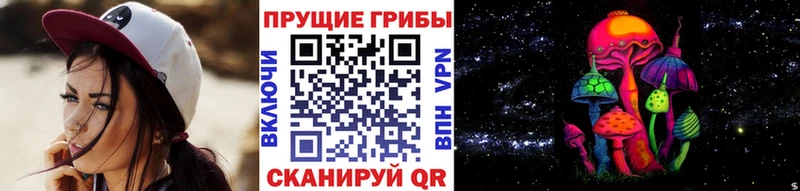Галлюциногенные грибы Cubensis  Купить закладки  Сосновый Бор 